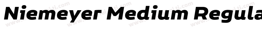 Niemeyer Medium Regular字体转换